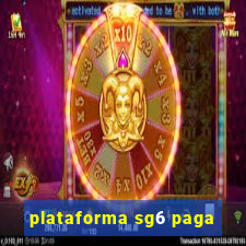 plataforma sg6 paga